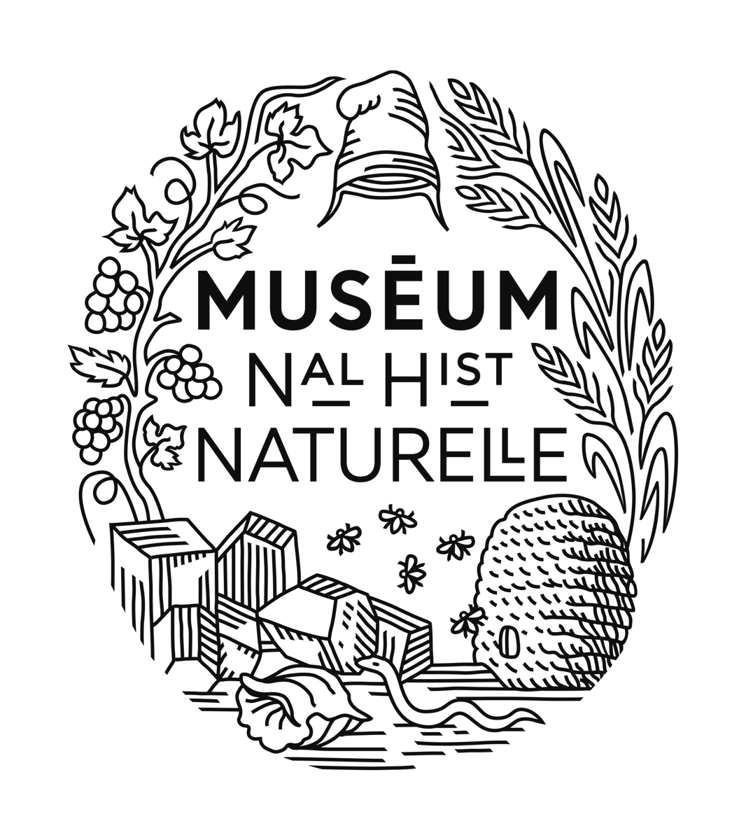 logo-mnhn